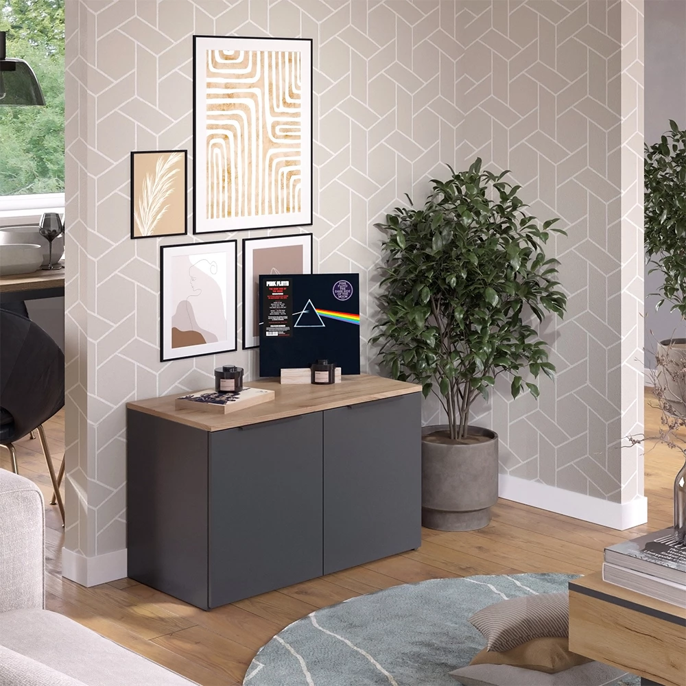 livinity® Kommode Anthrazit 80 x 50 cm mit 2 Türen, Wido