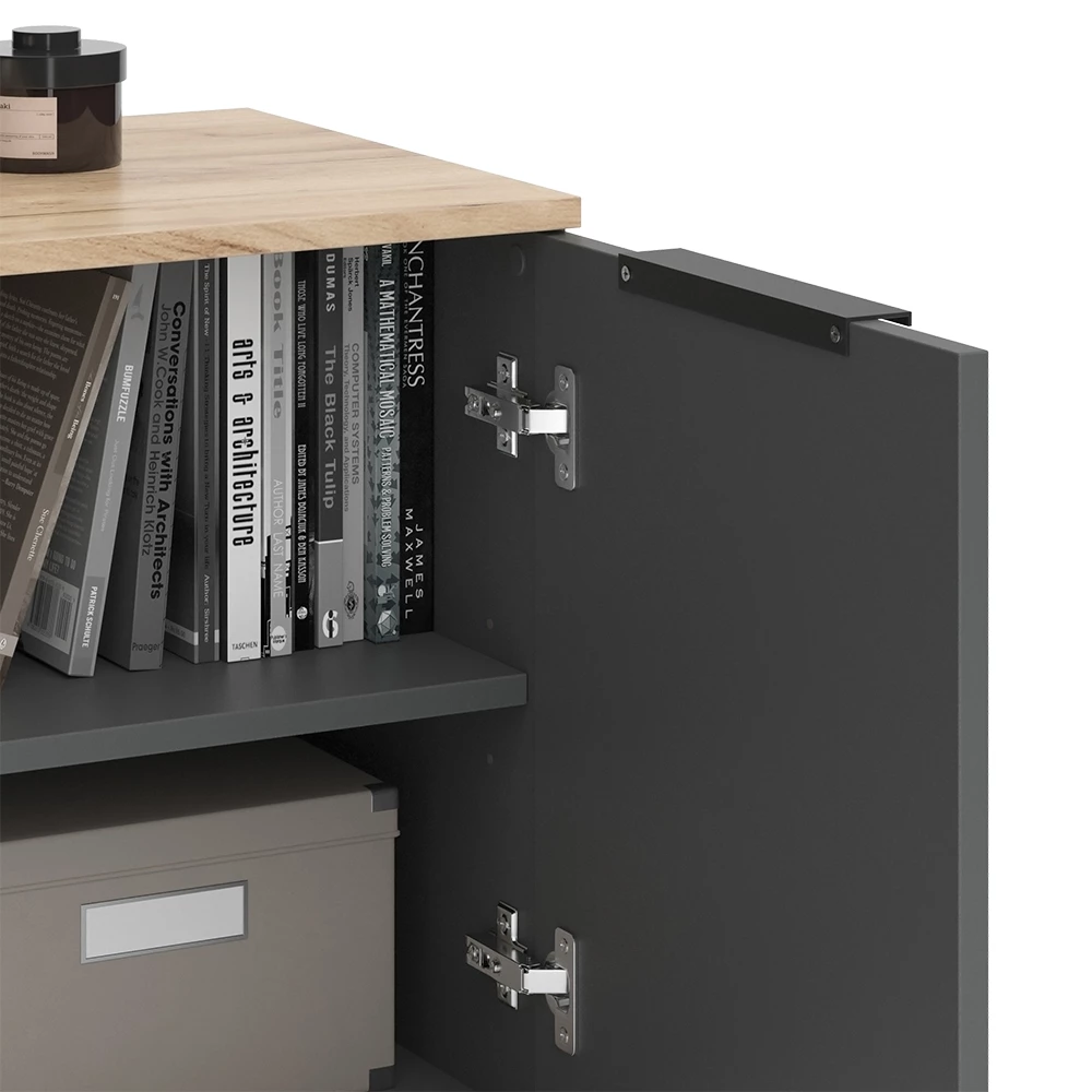 livinity® Kommode Anthrazit 80 x 50 cm mit 2 Türen, Wido