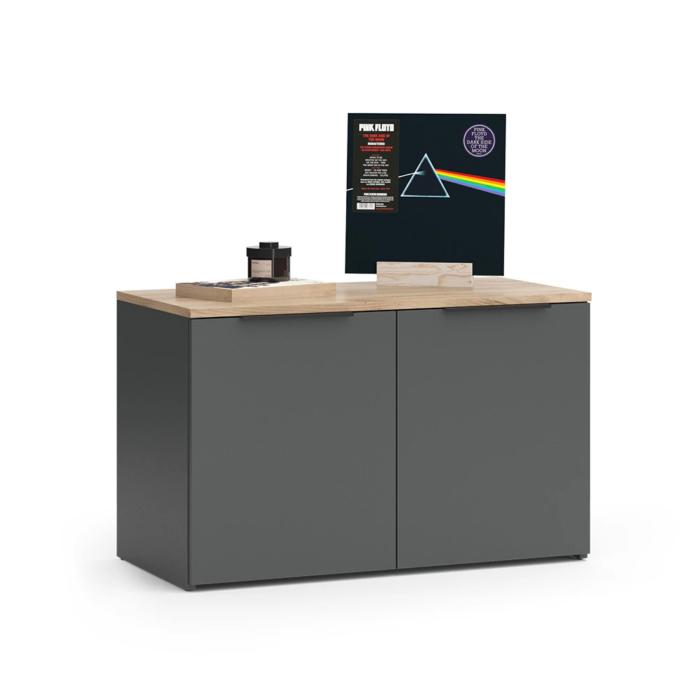 livinity® Kommode Anthrazit 80 x 50 cm mit 2 Türen, Wido