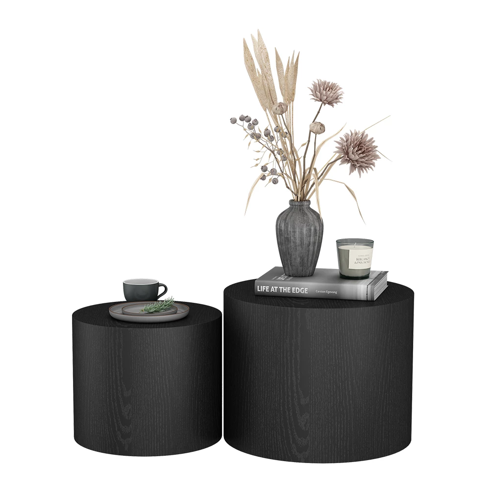 Ensemble De Tables Basses - MOTHINESSTO - Noir - Aggloméré - 100x48x40