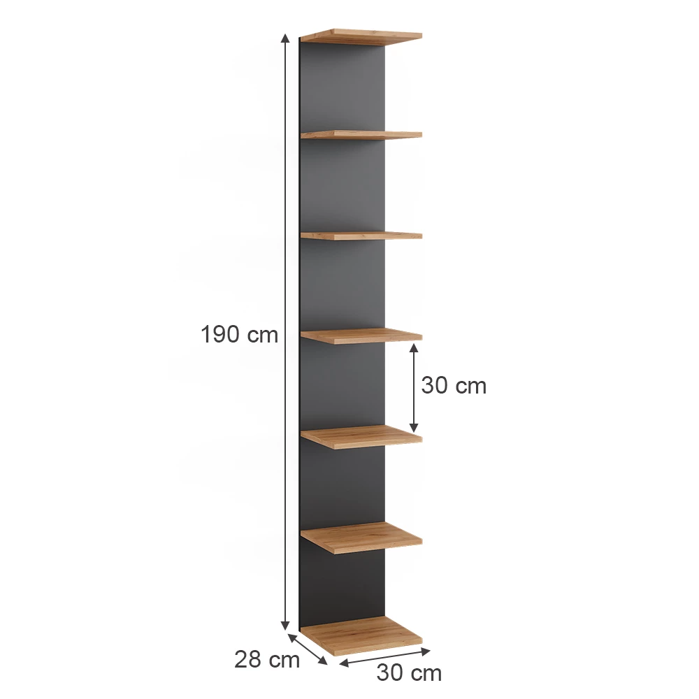 Vicco Wandregal Anthrazit 30 x 190 cm, Paolo