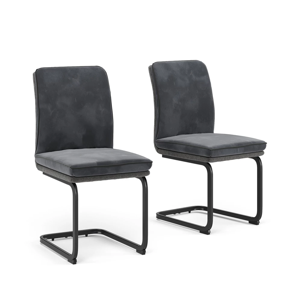 Vicco Freischwinger Anthrazit 2er Set, Eleganza
