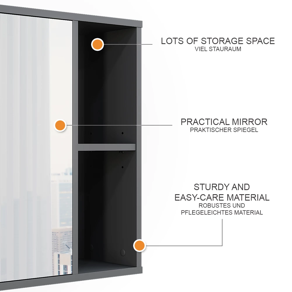 Vicco Badspiegelschrank Anthrazit 80 x 60 cm, Leano