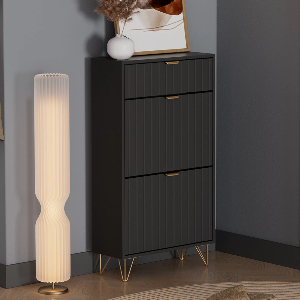Schuhschrank in Schwarz auf weißem Hintergrund