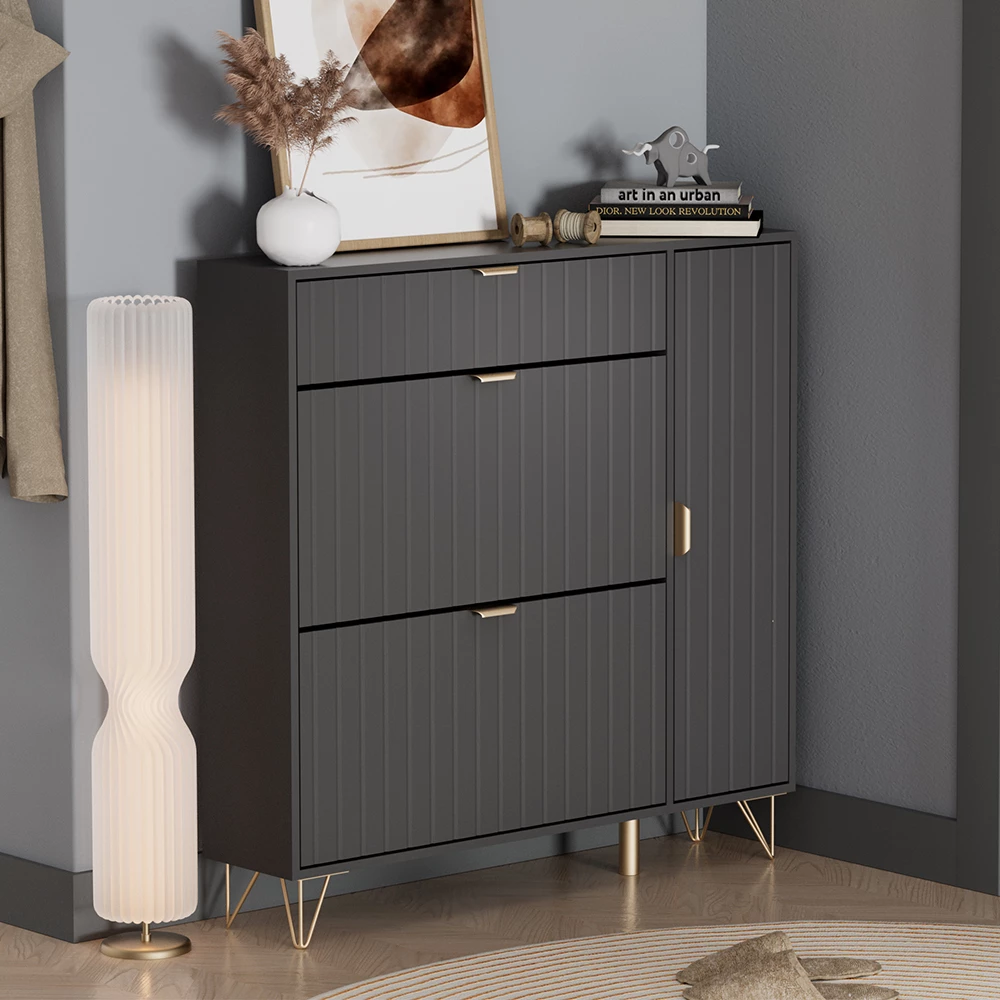 Schuhschrank in Schwarz auf weißem Hintergrund