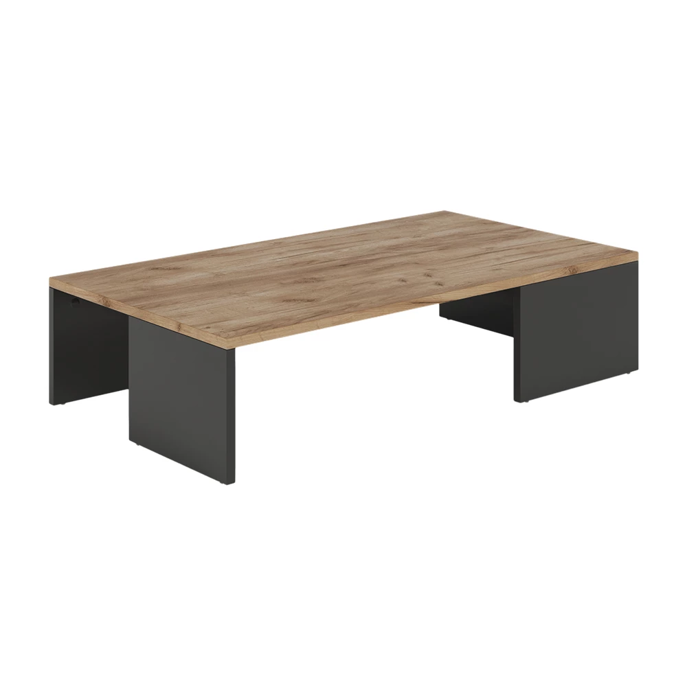 Vicco Couchtisch Anthrazit/Goldkraft Eiche 90 x 21.4 cm, Hardi