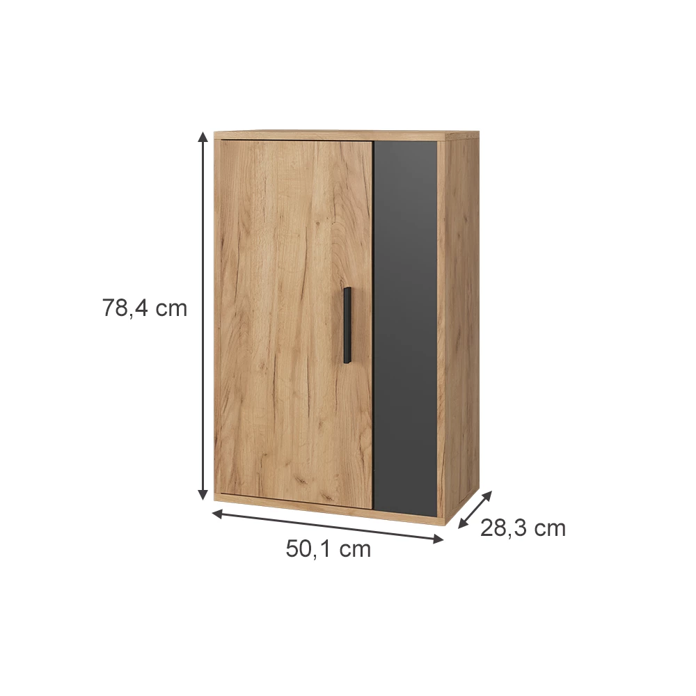 Vicco Hängeschrank Goldkraft Eiche/Anthrazit 50.1 x 78.4 cm mit 2 Fächern, Berno