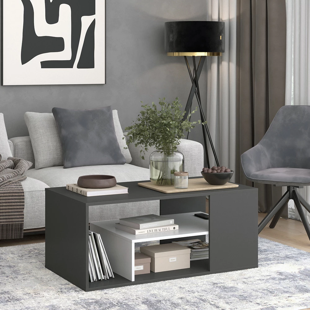 Mesa de centro en Antracita/blanco sobre fondo blanco con elementos decorativos