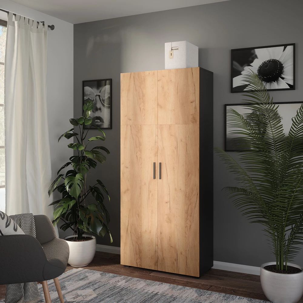 Mehrzweckschrank in Anthrazit/Goldkraft Eiche auf weißem Hintergrund
