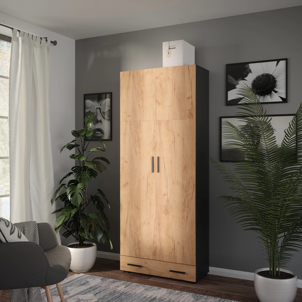 Mehrzweckschrank in Anthrazit/Goldkraft Eiche auf weißem Hintergrund