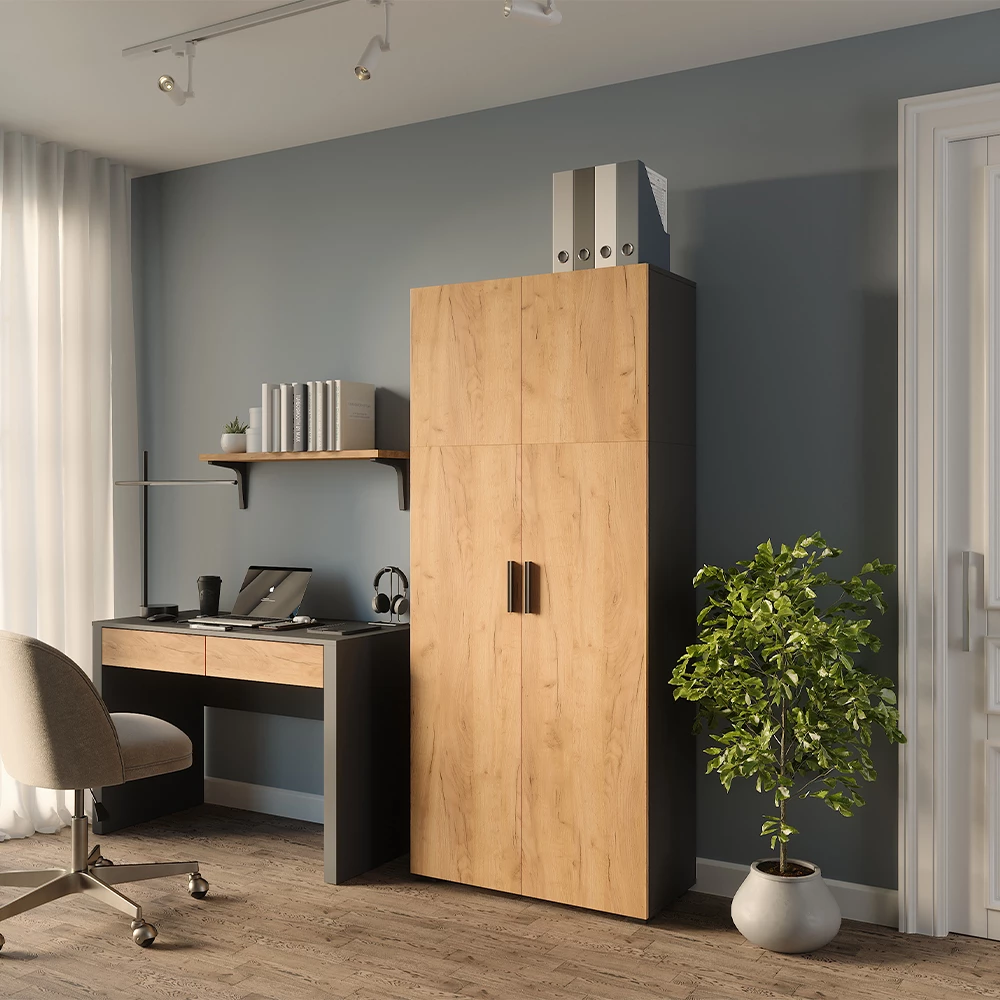 Mehrzweckschrank in Anthrazit/Goldkraft Eiche auf weißem Hintergrund