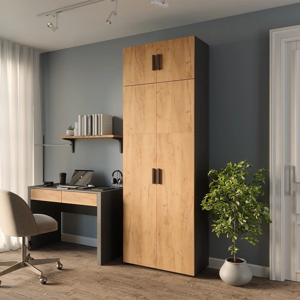 Mehrzweckschrank in Anthrazit/Goldkraft Eiche auf weißem Hintergrund