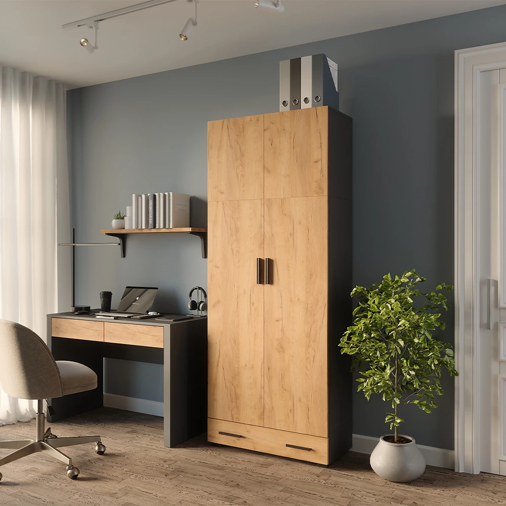 Mehrzweckschrank in Anthrazit/Goldkraft Eiche auf weißem Hintergrund