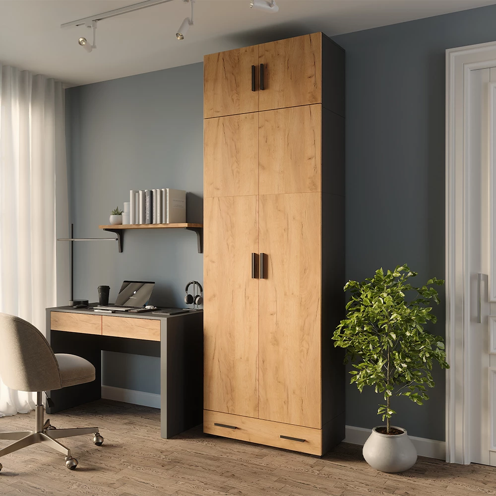 Mehrzweckschrank in Anthrazit/Goldkraft Eiche auf weißem Hintergrund