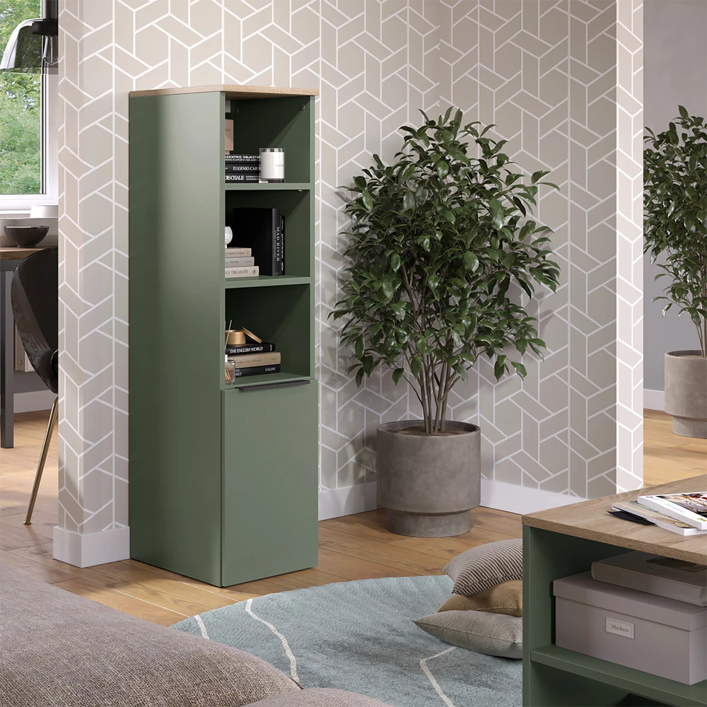 Universalschrank in Grün auf weißem Hintergrund