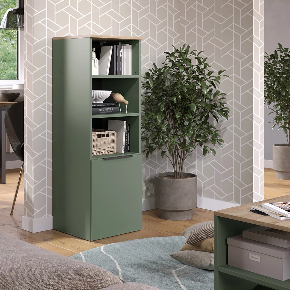 Universalschrank in Grün auf weißem Hintergrund