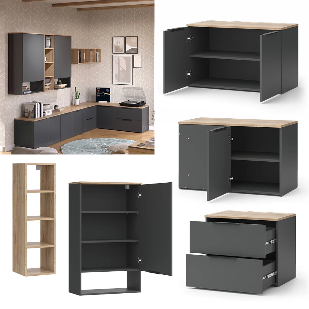 Living perete in antracit on white background