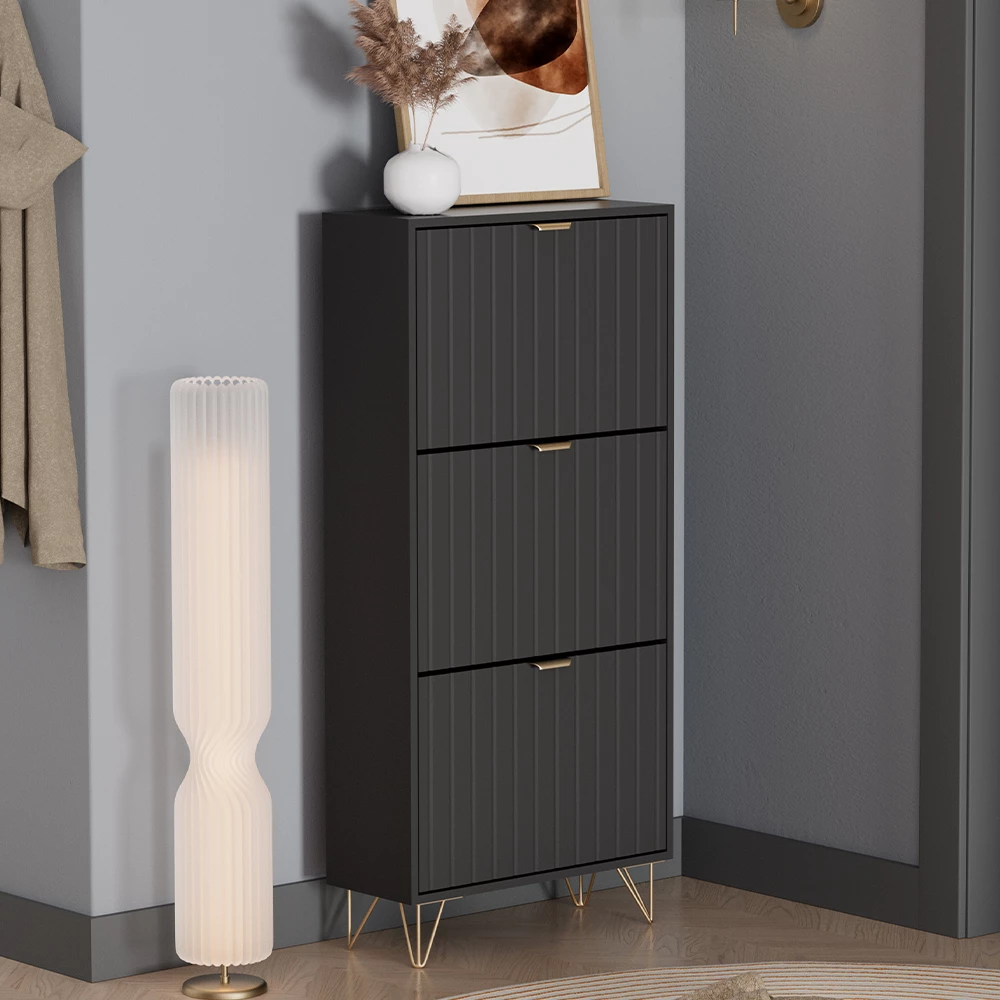 Schuhschrank in Schwarz auf weißem Hintergrund