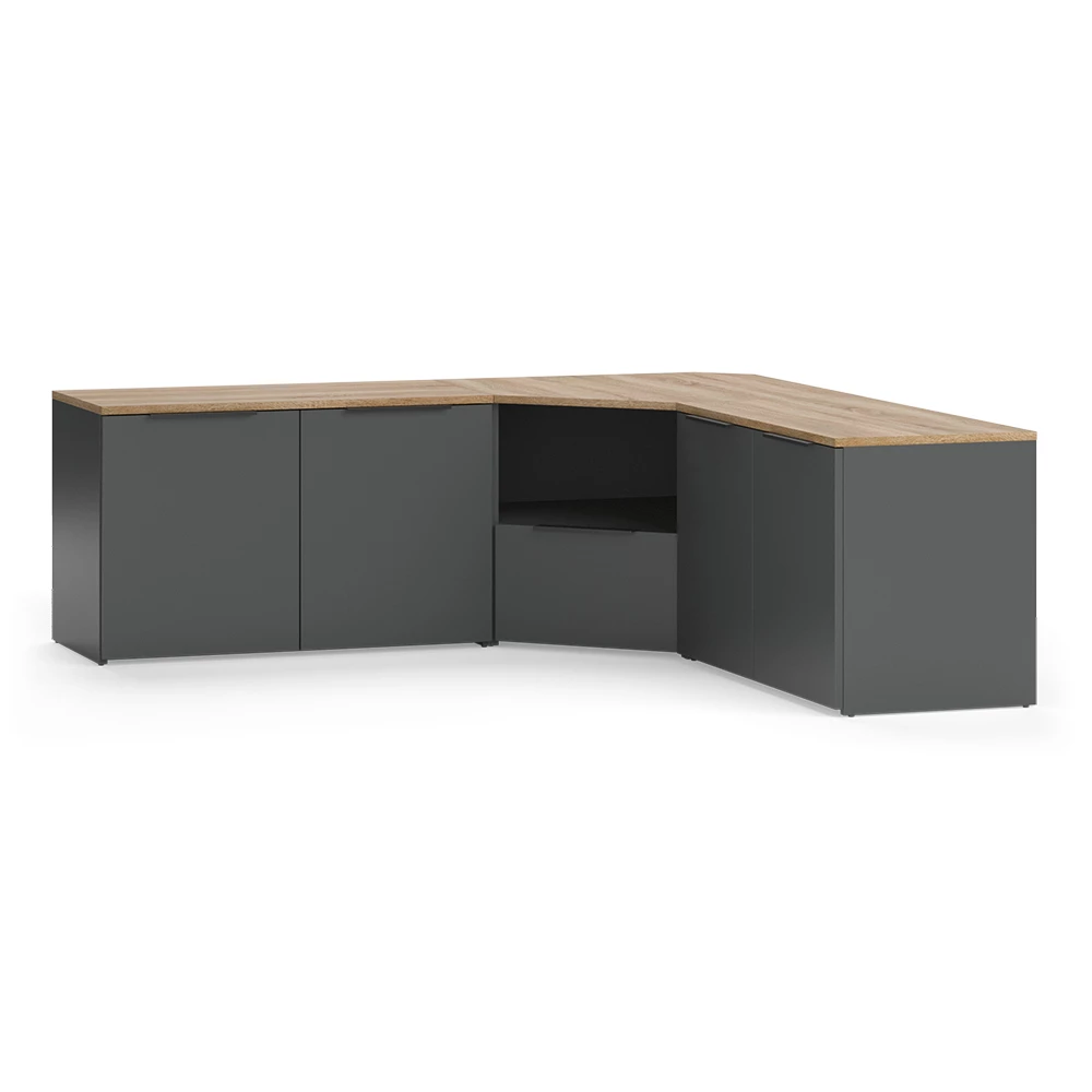 Dnevna stena v Antracit na belem ozadju