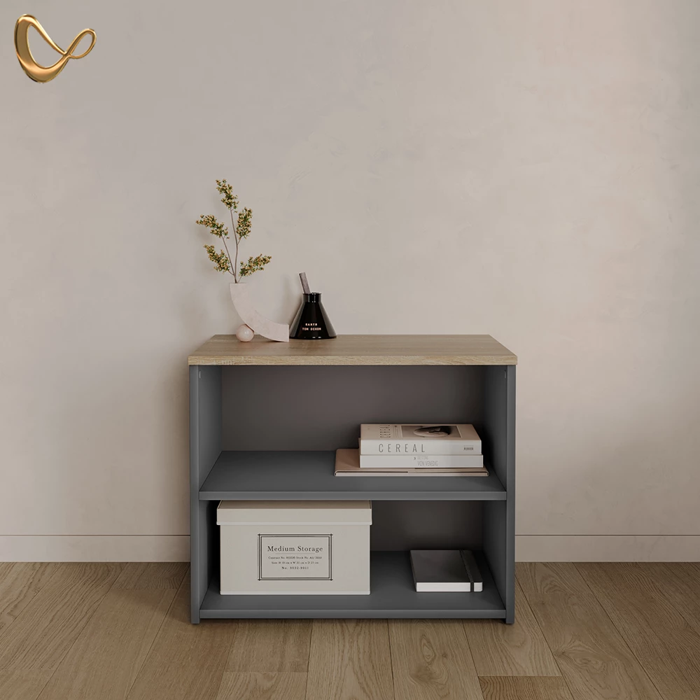 Lowboard Piave Anthrazit/Sonoma 60 x 50 cm mit 2 Fächern livinity®